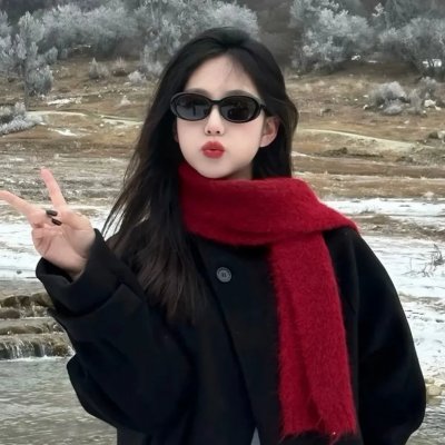 双子星大冒险国语