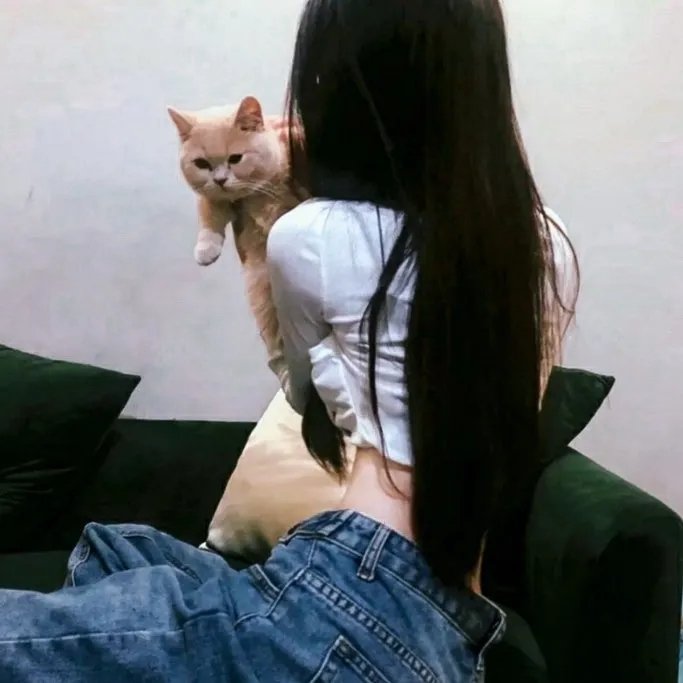 铁骑金戈